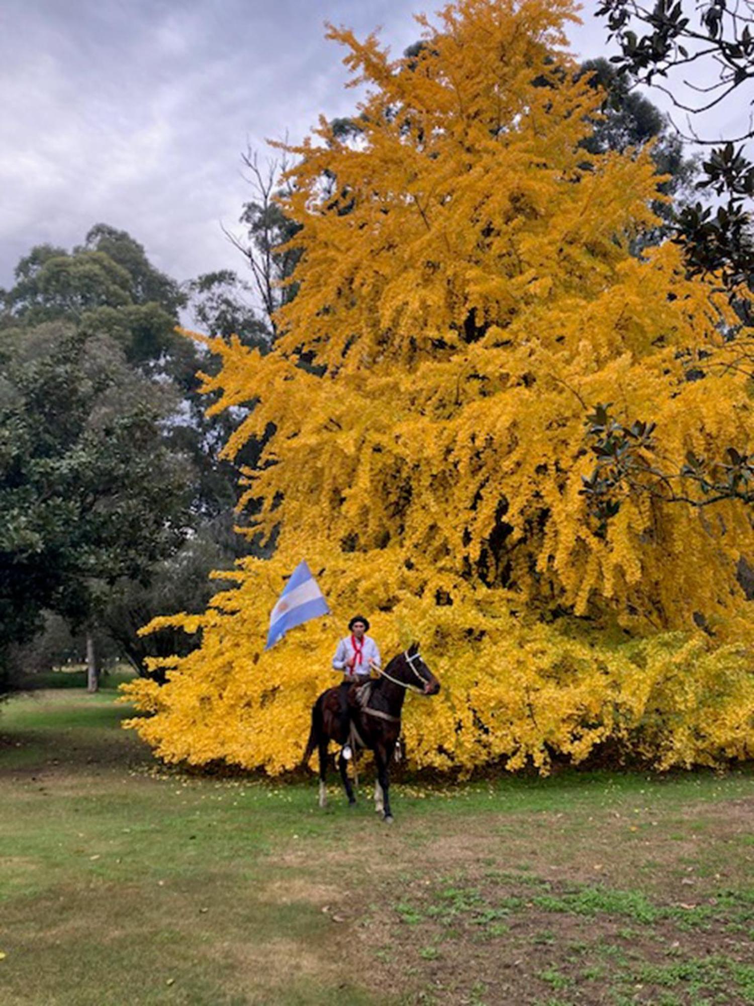 Estancia Villa Maria Ezeiza Exterior photo